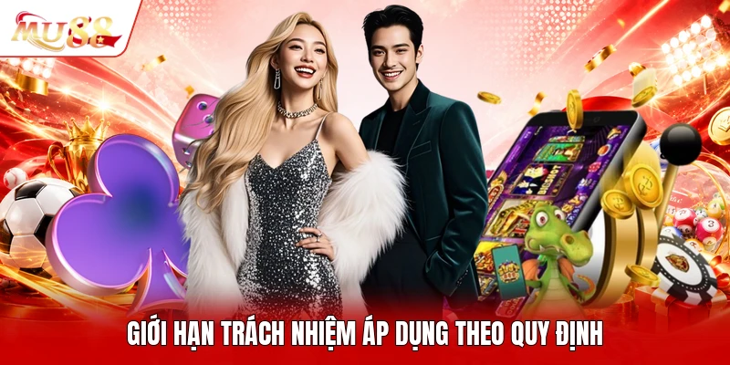 Giới hạn trách nhiệm áp dụng theo quy định