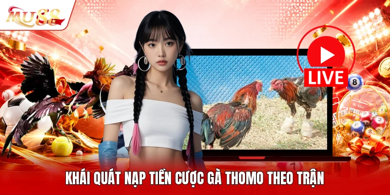Khái quát nạp tiền cược gà thomo theo trận